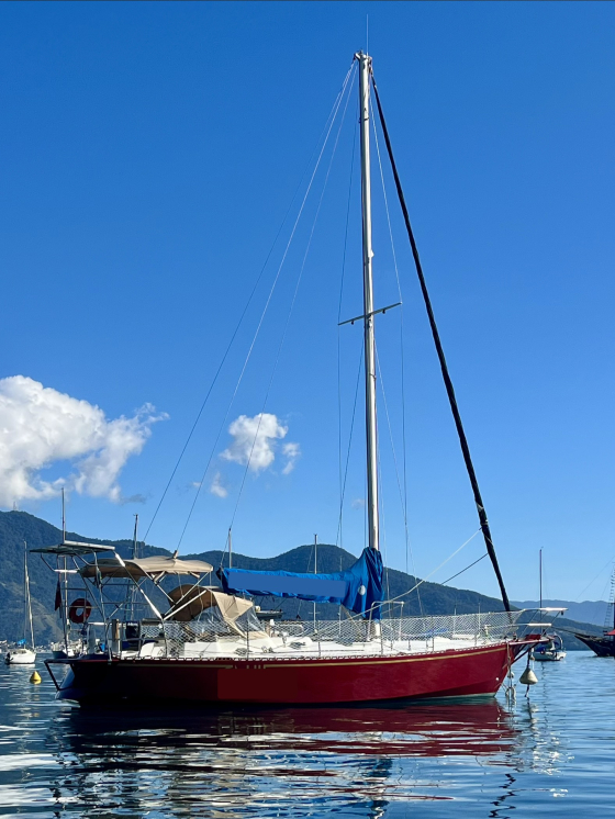 /barcos/dinieper-tropic-12000-joubert-nivelt/